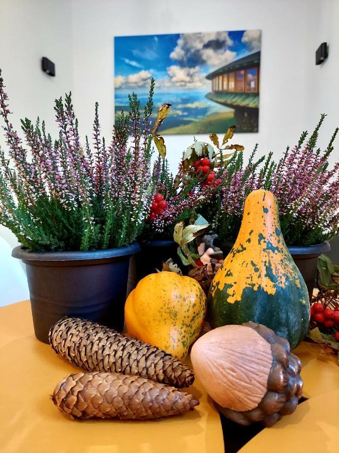 Saneczkowa3.10 Apartman Karpacz Kültér fotó